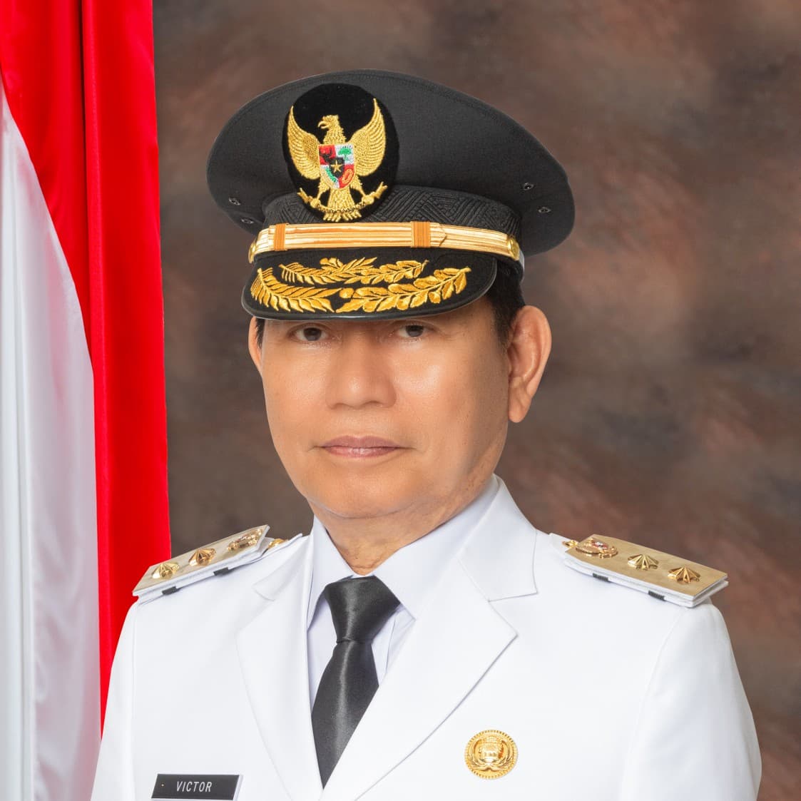 Wakil Gubernur